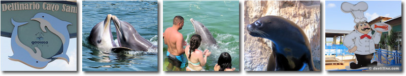 Dolphins Fantasia | Delfinario Cayo Santa Maria
