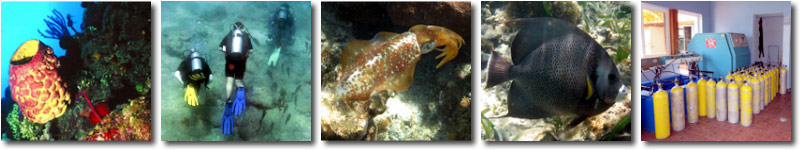 Scuba Diving | Cayos de Villa Clara